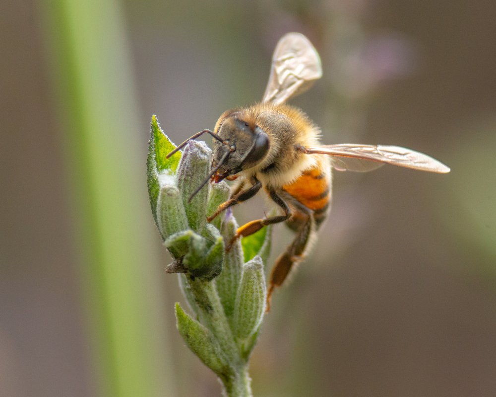 Photograph by Ken Stavrou