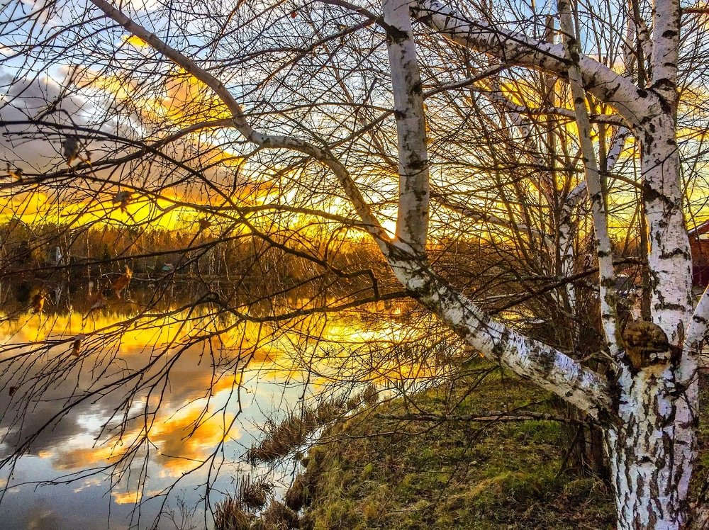 Photograph by Ирина Трошина