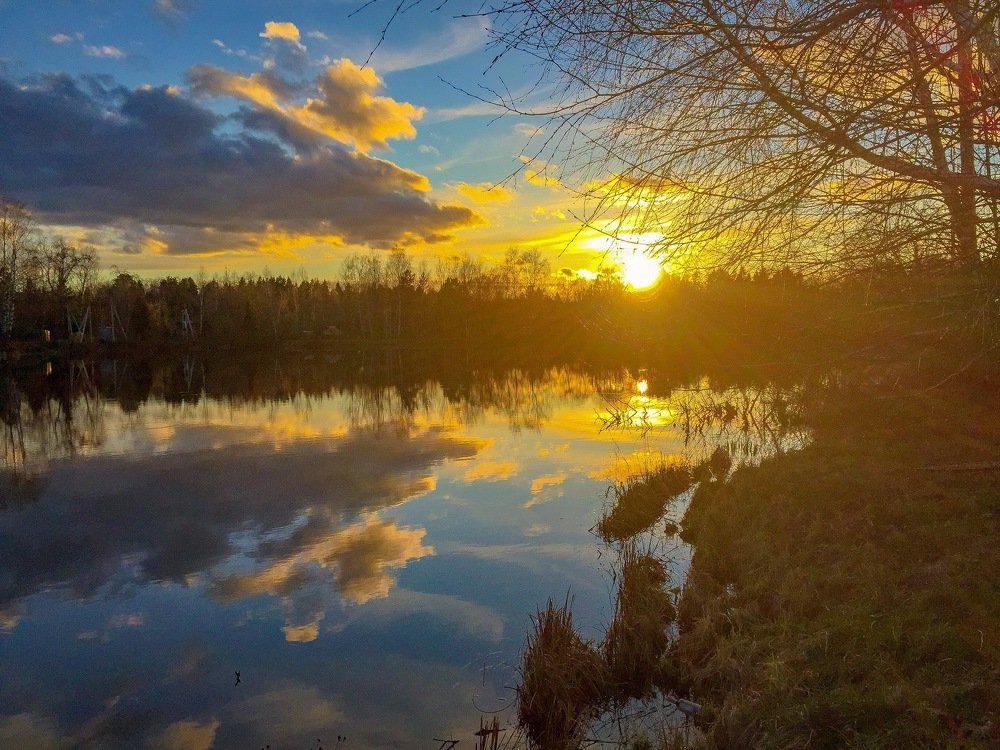 Photograph by Ирина Трошина