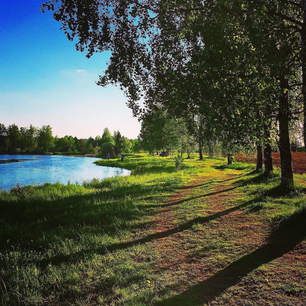 Photograph by Ирина Трошина