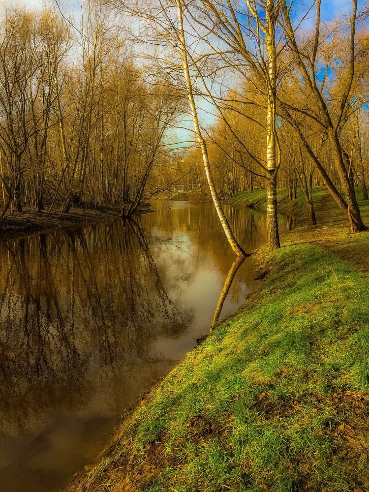 Photograph by Ирина Трошина