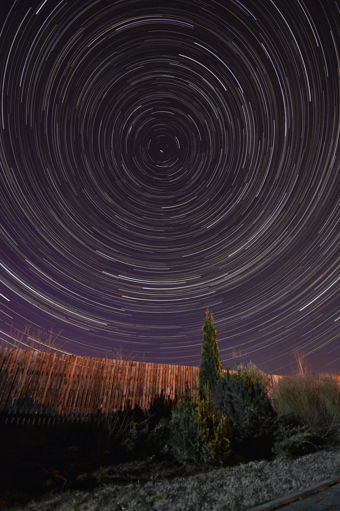 Photograph by Olga Yankus