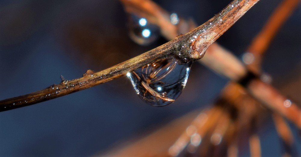 Фотография автора Алексей Усов