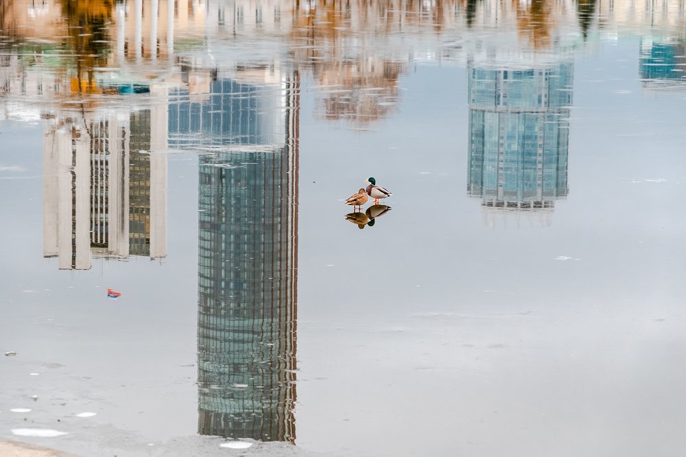 В зазеркалье