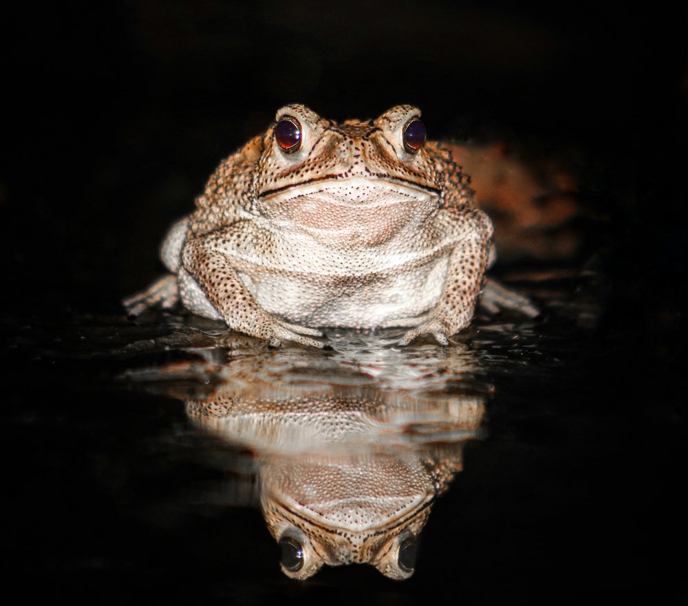 Photograph by Masum Mr