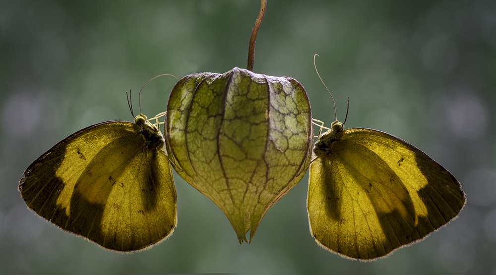 Photograph by Yasir Mehmood