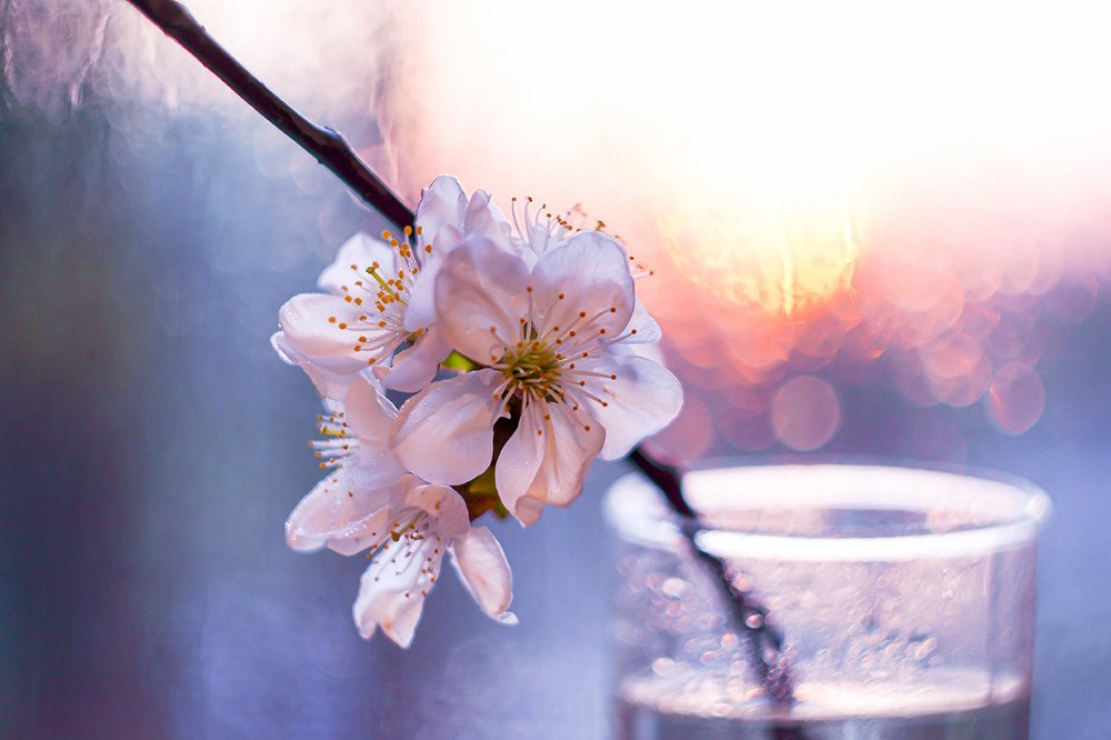 Весеннее настроение...