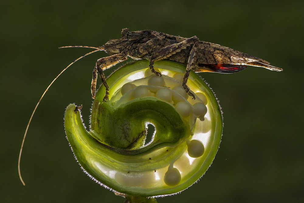 Photograph by Yasir Mehmood