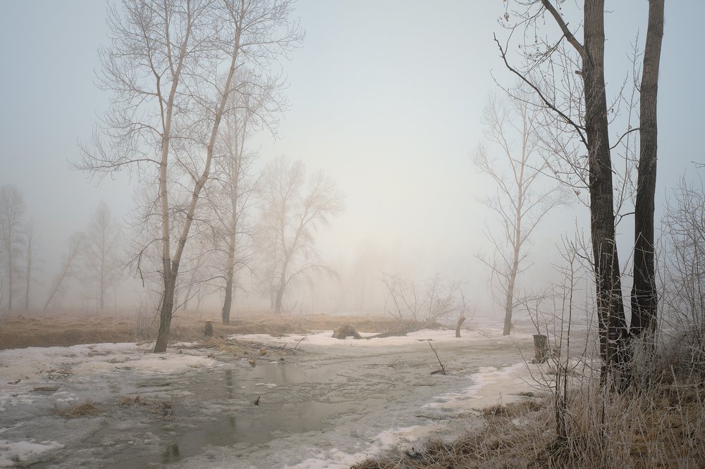 Фотография автора Evgeny Gerasimenko