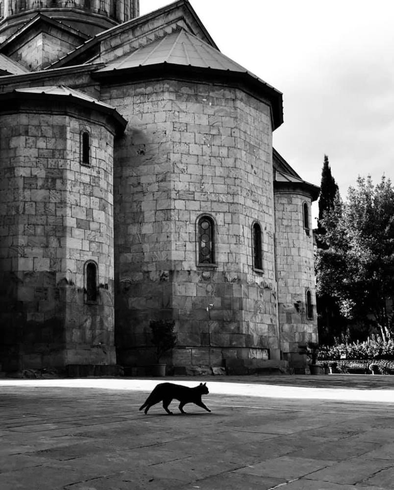 Photograph by Nunu Gambashidze