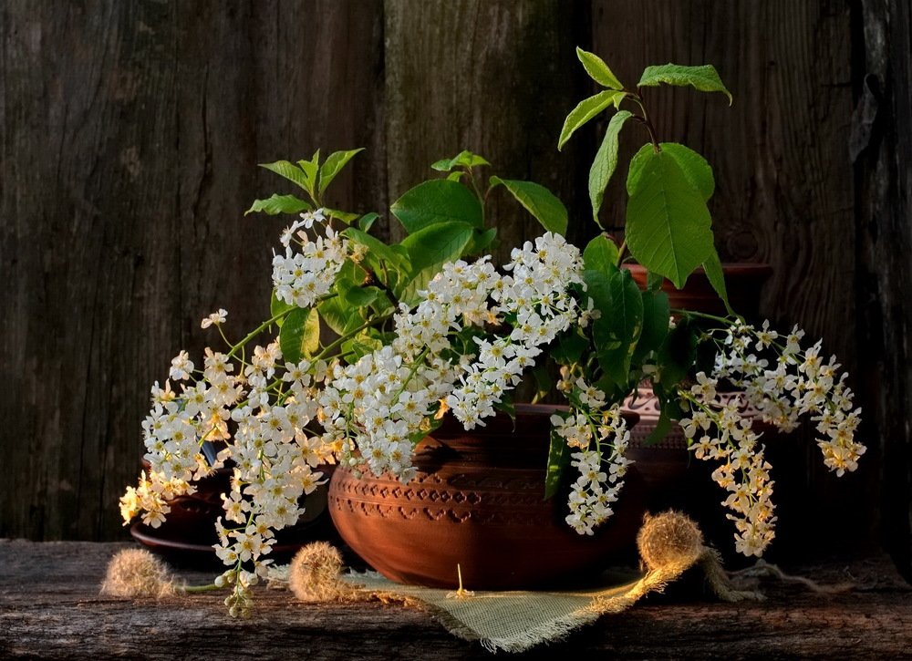 Весна на завалинке.