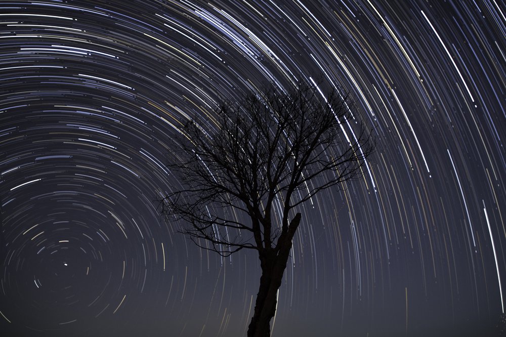 Photograph by  Mahalingam