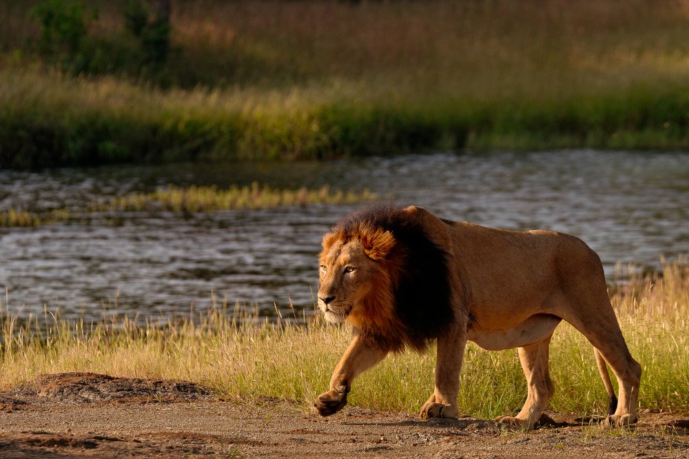 Фотография автора Jaidevsinh Rathod