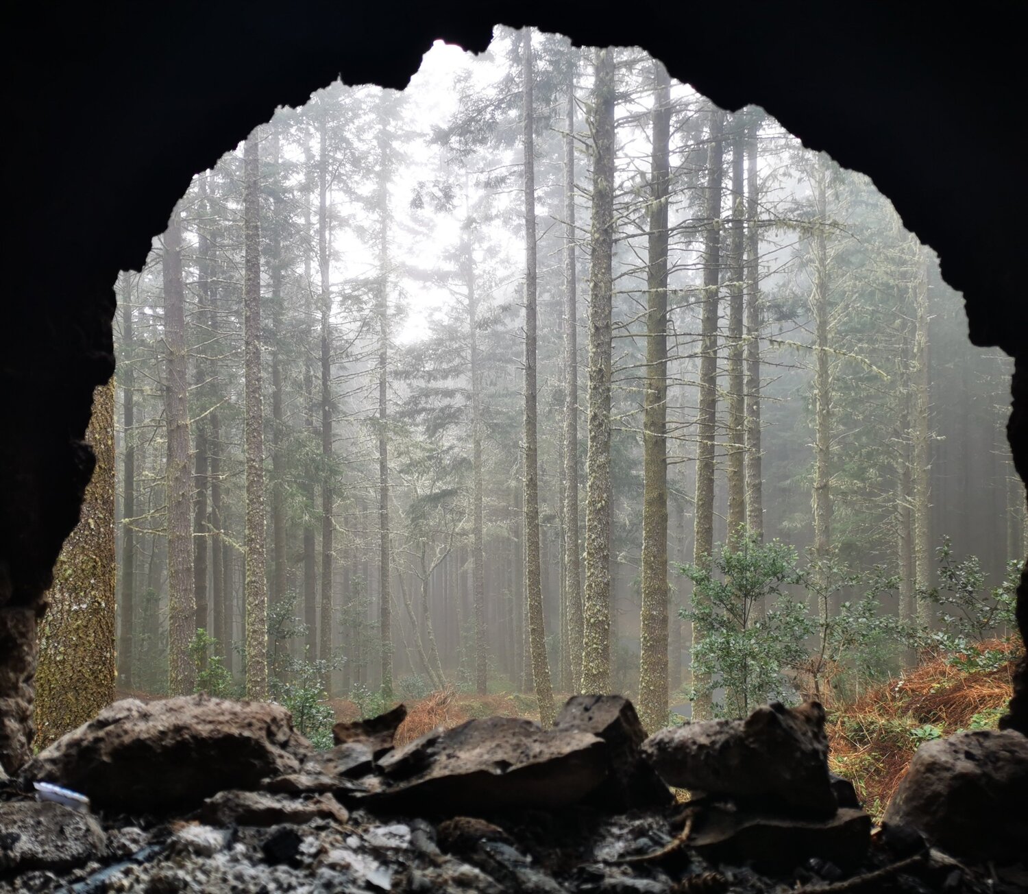 Window to Narnia