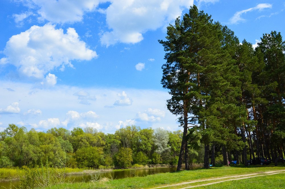 Photograph by Юлия Ефанова