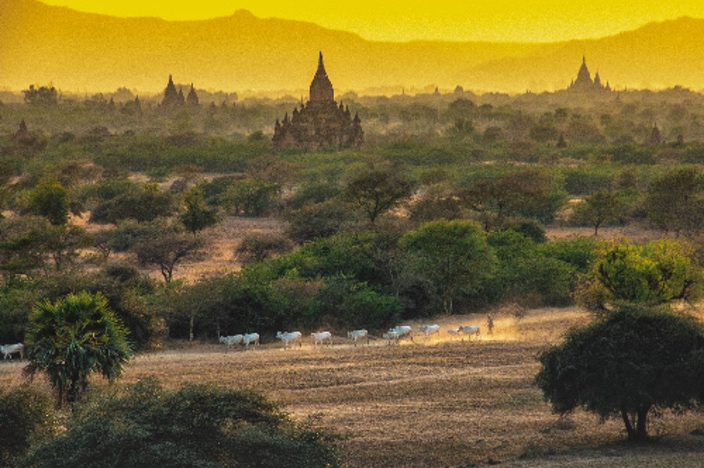 Bagan Sunset