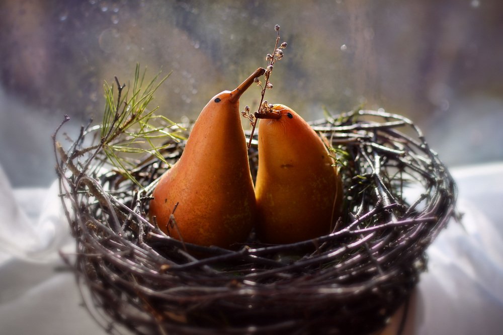 Фотография автора Юлия Широкова