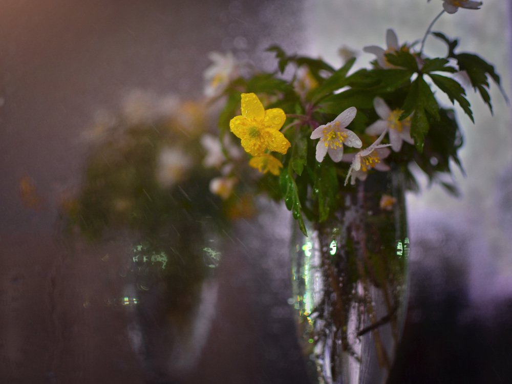 Фотография автора Юлия Широкова