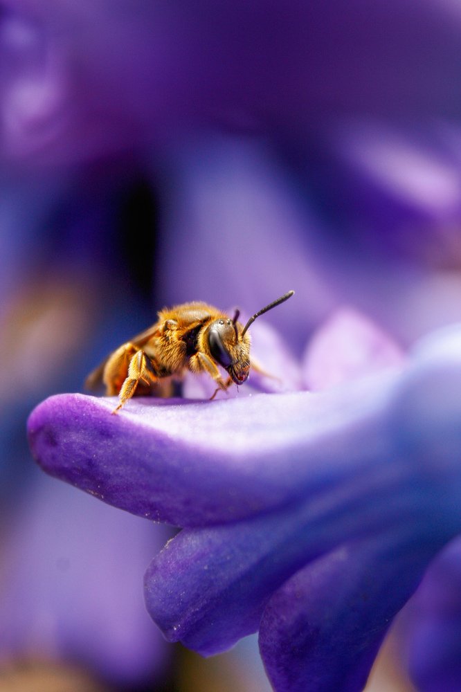 Photograph by Rybakova Alena