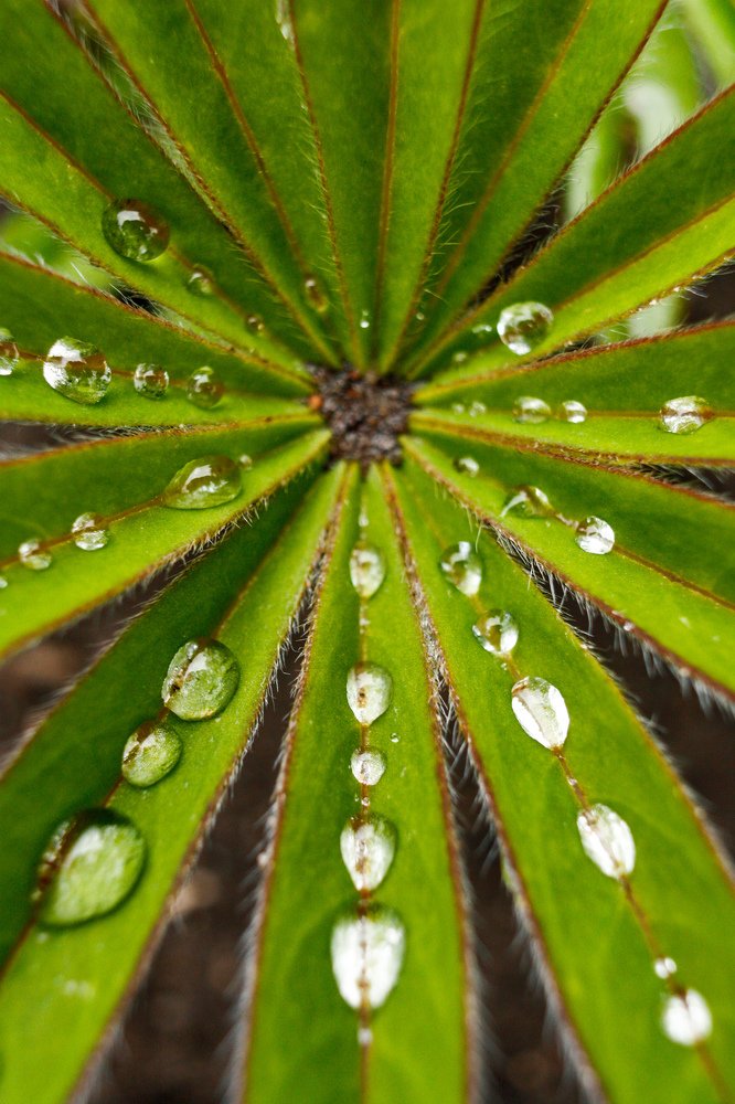 Photograph by Rybakova Alena