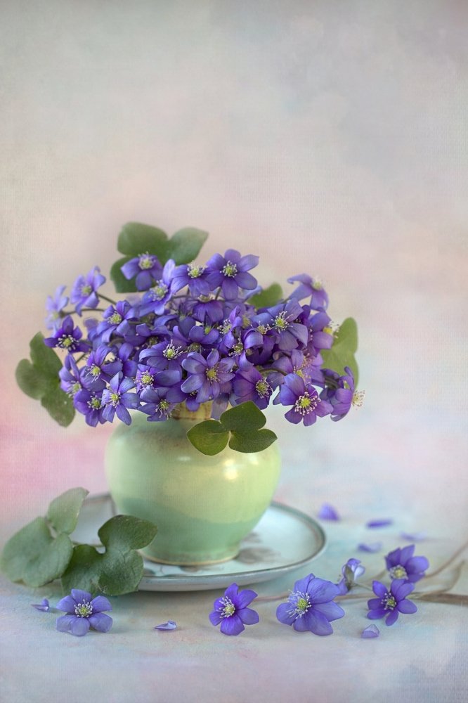 Photograph by Sonata Žemgulienė