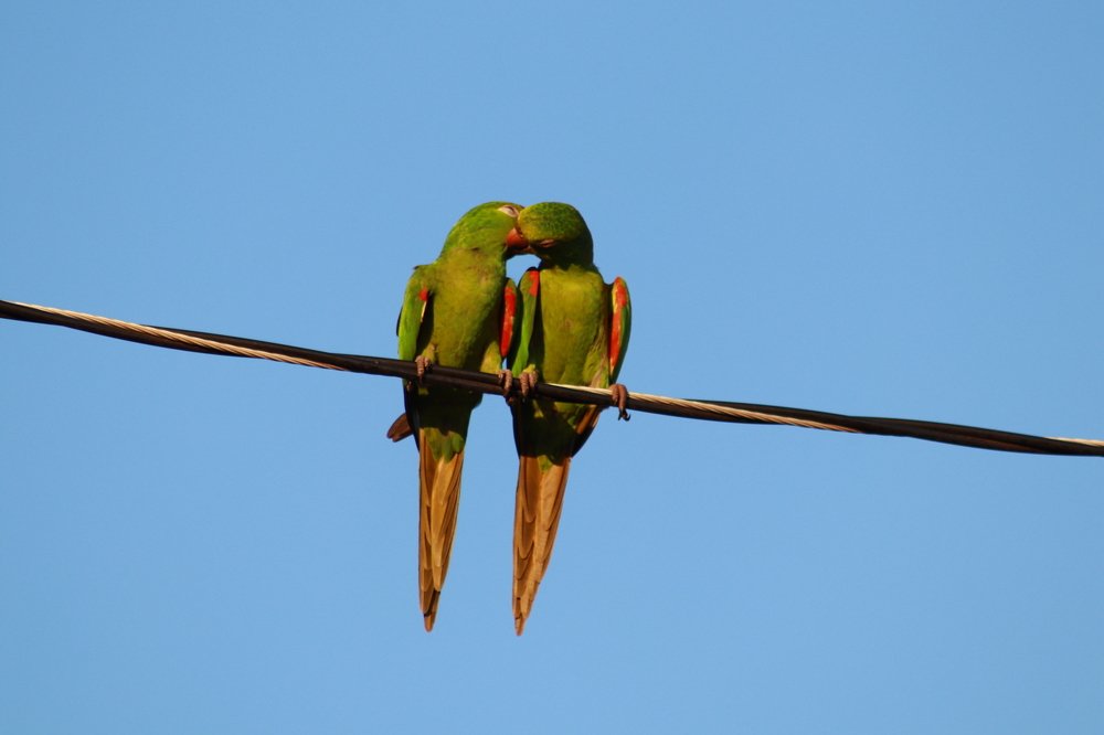 Photograph by Sônia Maria de Oliveira