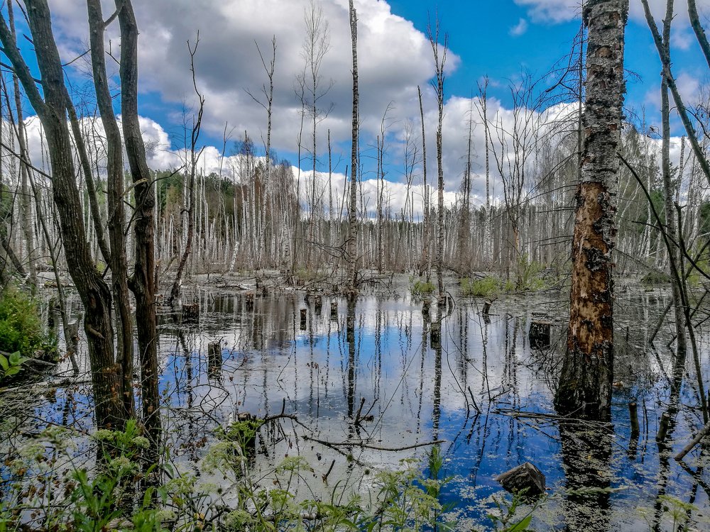 Photograph by Indre Stulgaite