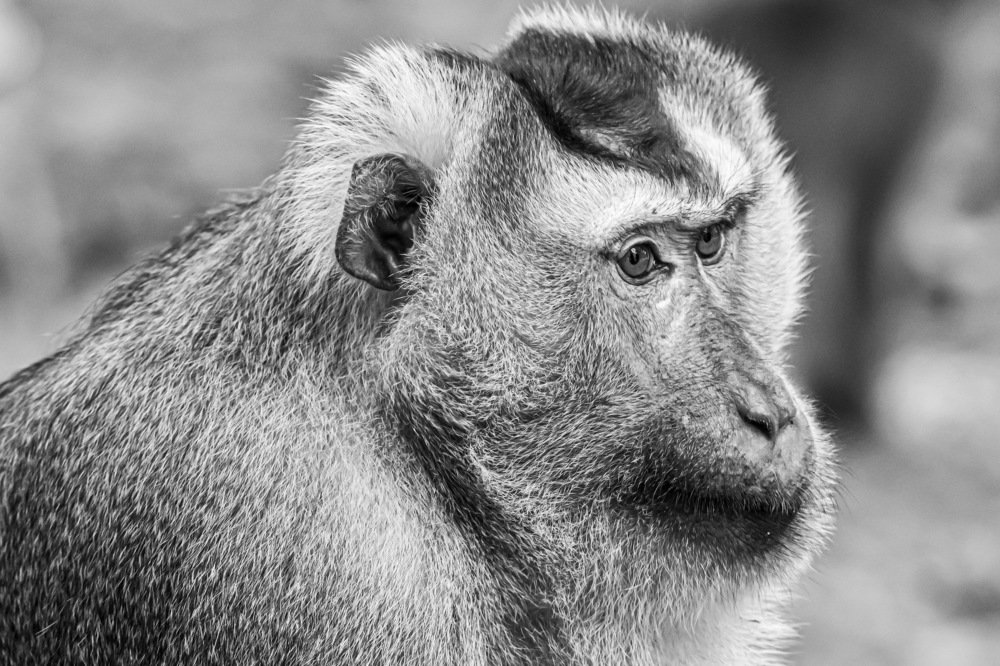 Photograph by Андрей Иванов