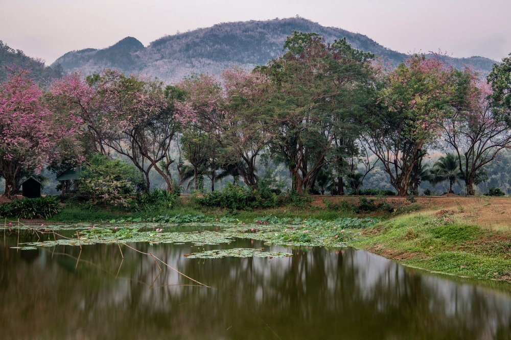 Photograph by Андрей Иванов