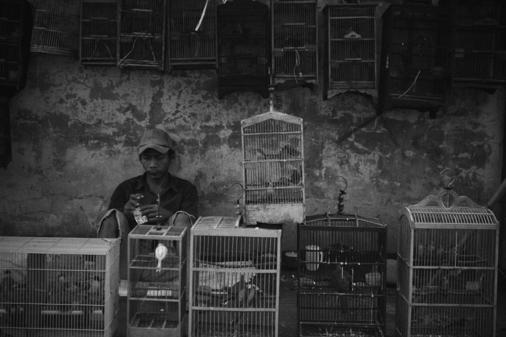 Фотография автора Siska Wulandari