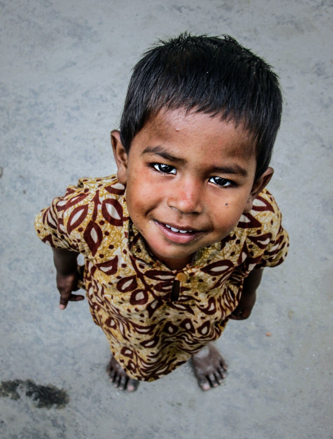 Photo #4559859