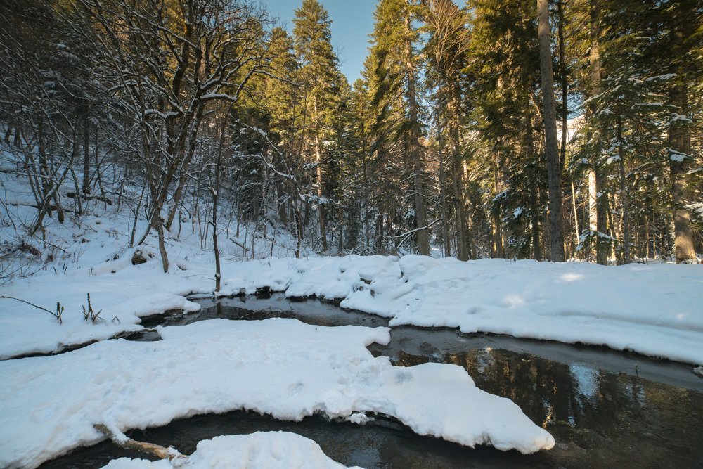 Солнышко проснулось