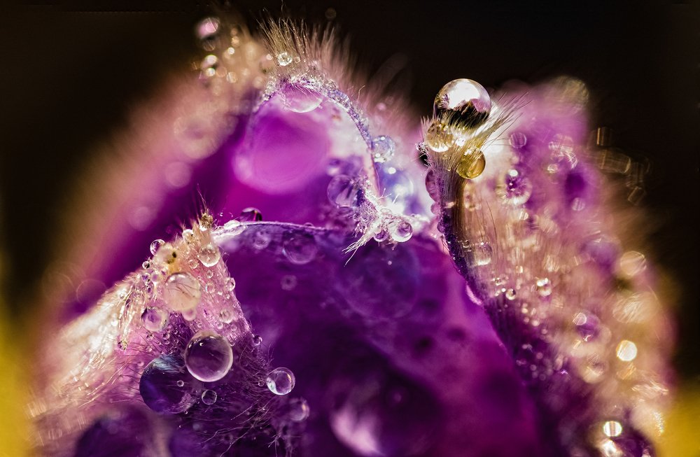 Photograph by Andras Horvath