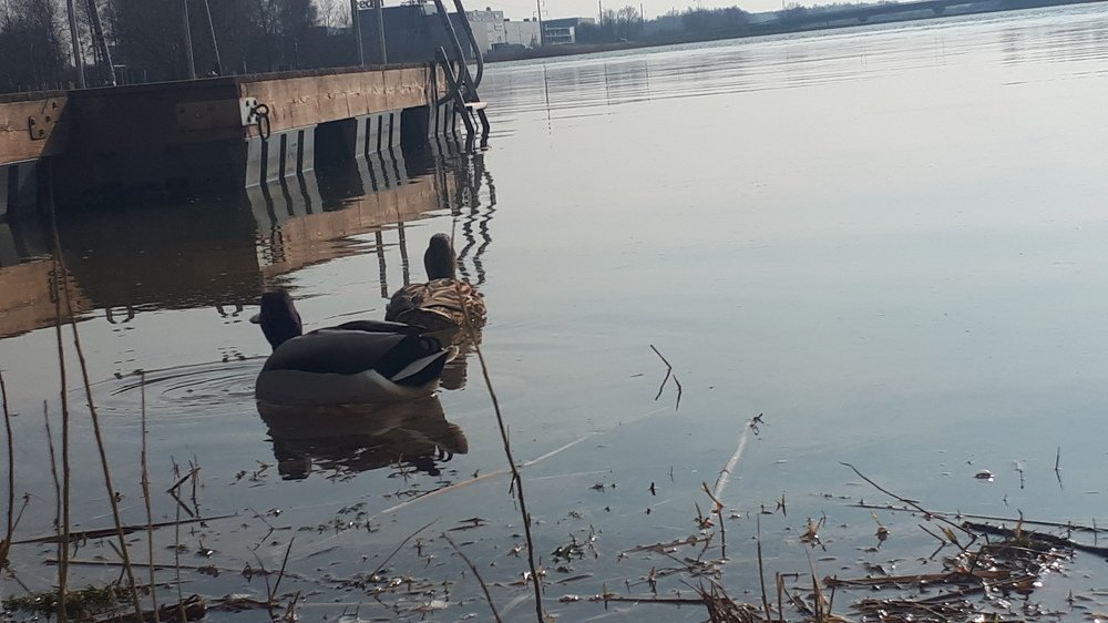 Photograph by Kristiina Soots