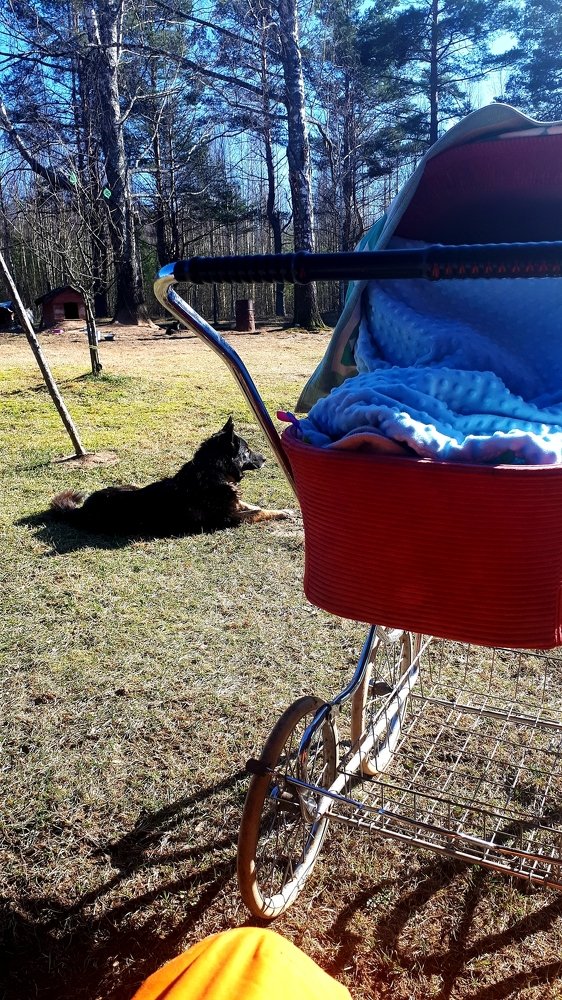 Photograph by Kristiina Soots