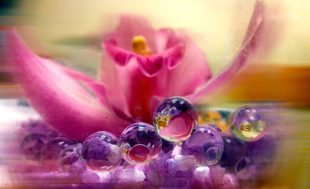 Photograph by Светлана Ковалёнок