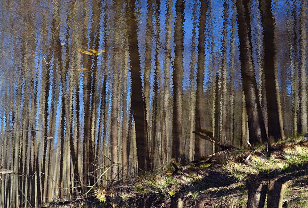 Photograph by Светлана Ковалёнок