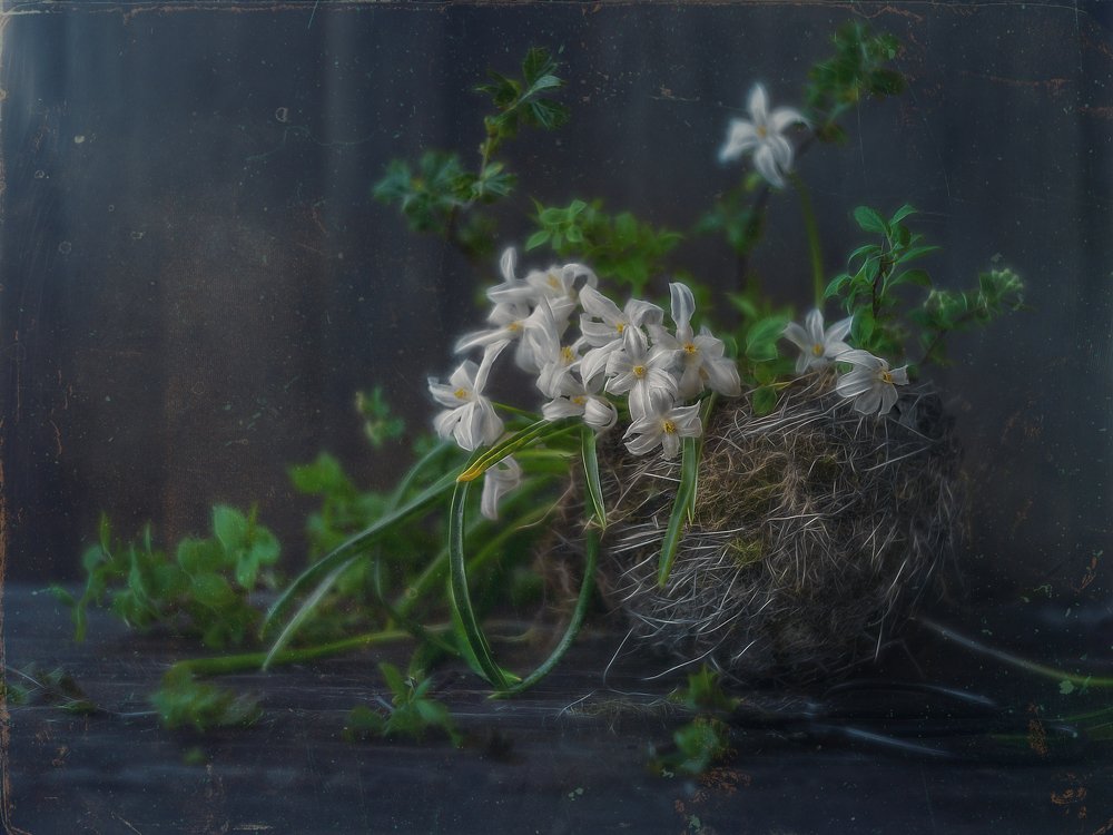 Photograph by Svoboda Andreeva