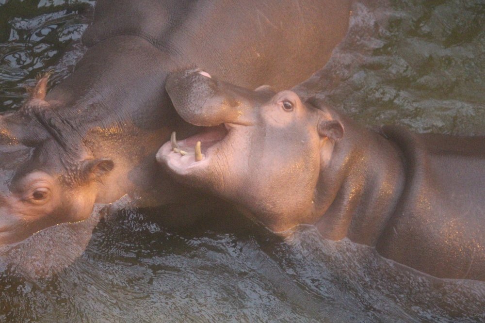 Фотография автора Андрій Майовець