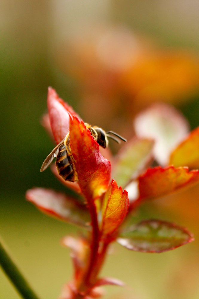 Photograph by Rybakova Alena