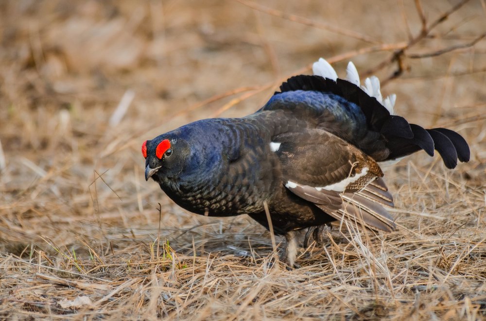 Photograph by Дмитрий Бухтик