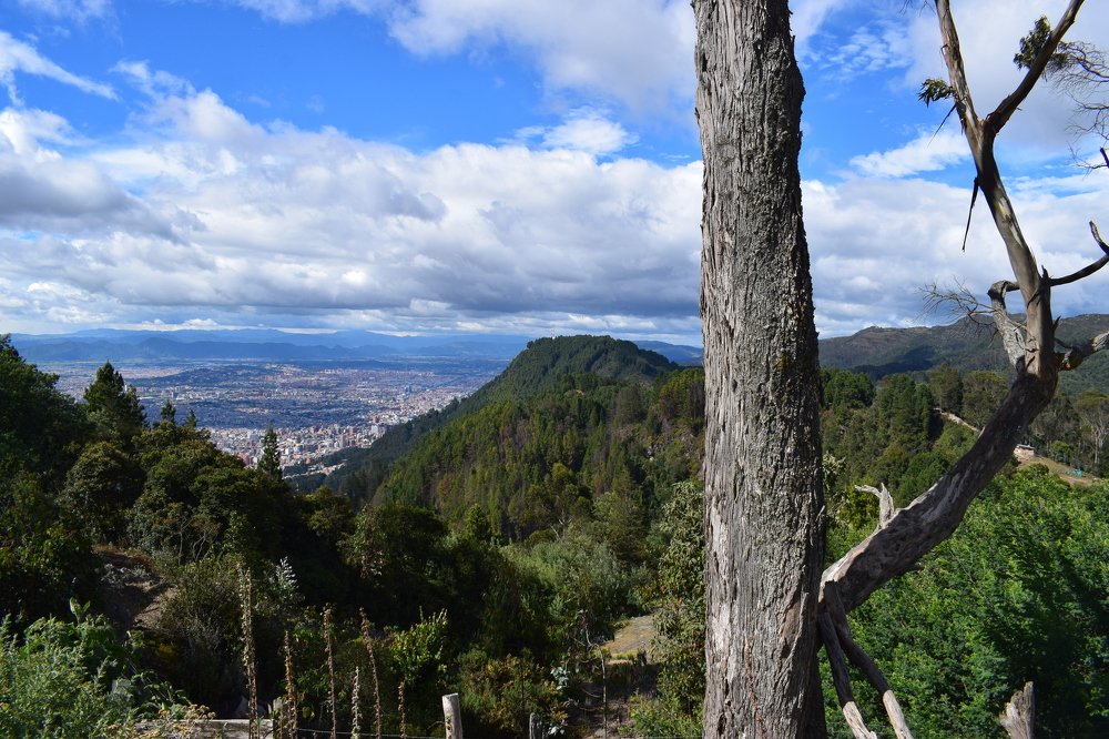 Entre lo natural y lo civilizado