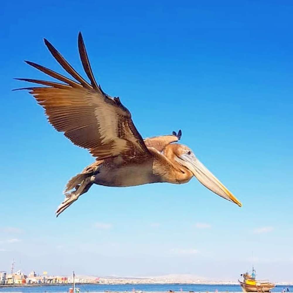 Photograph by jair stiven vargas duque