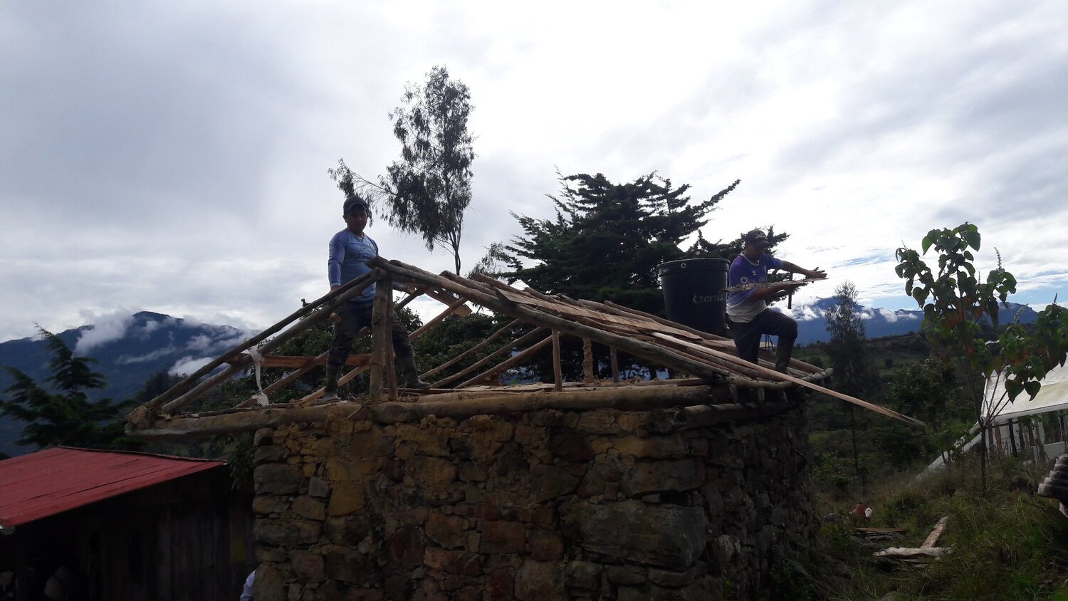 Photo #4560501