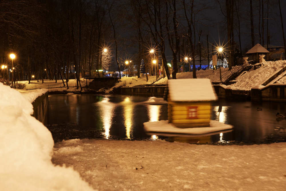 Зимний пруд