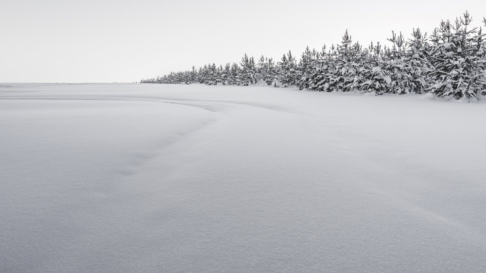 Photograph by Аслан Маргиев