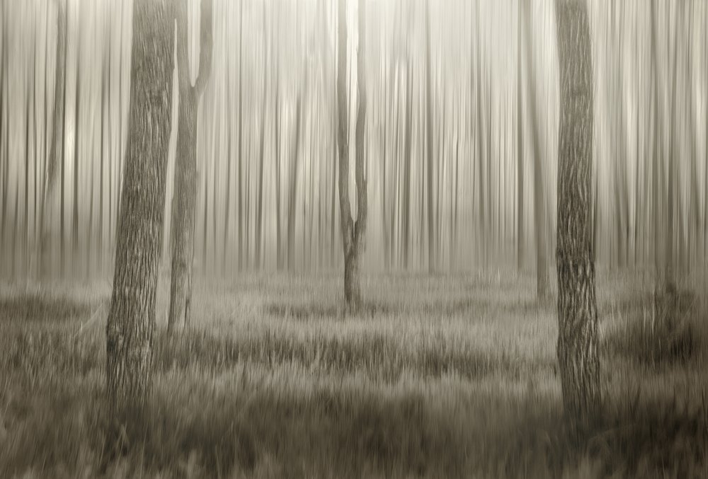 Photograph by Максим Митченко