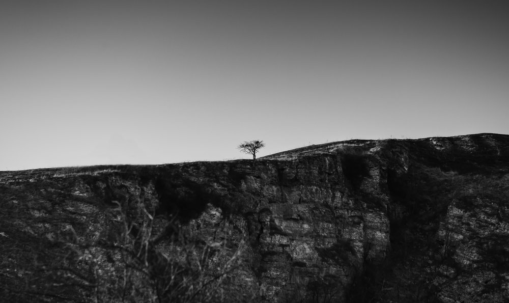 Photograph by Максим Митченко