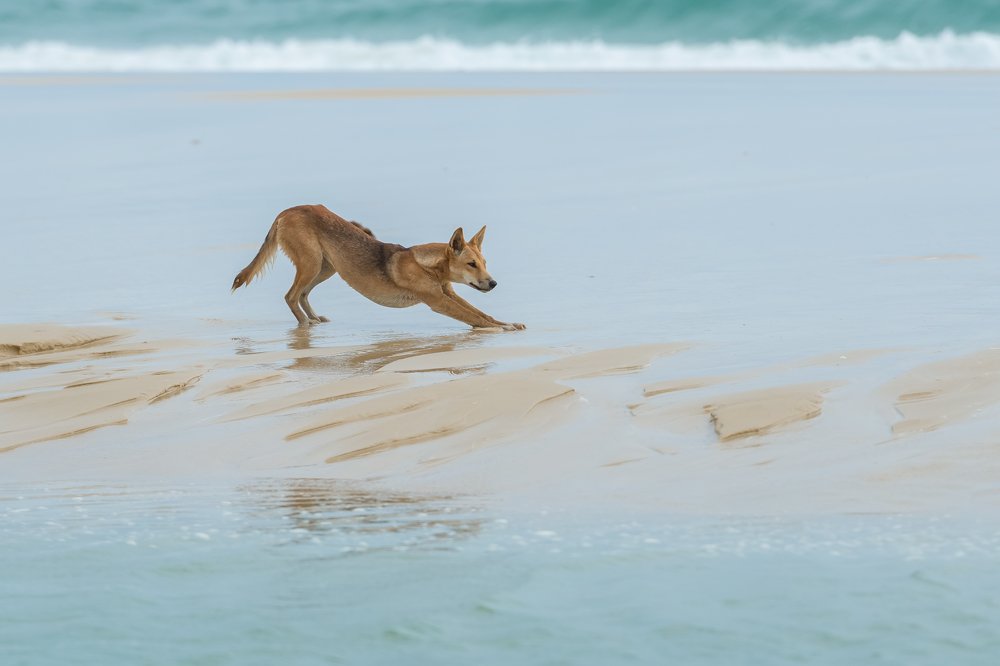 Photograph by George Mihajlovich