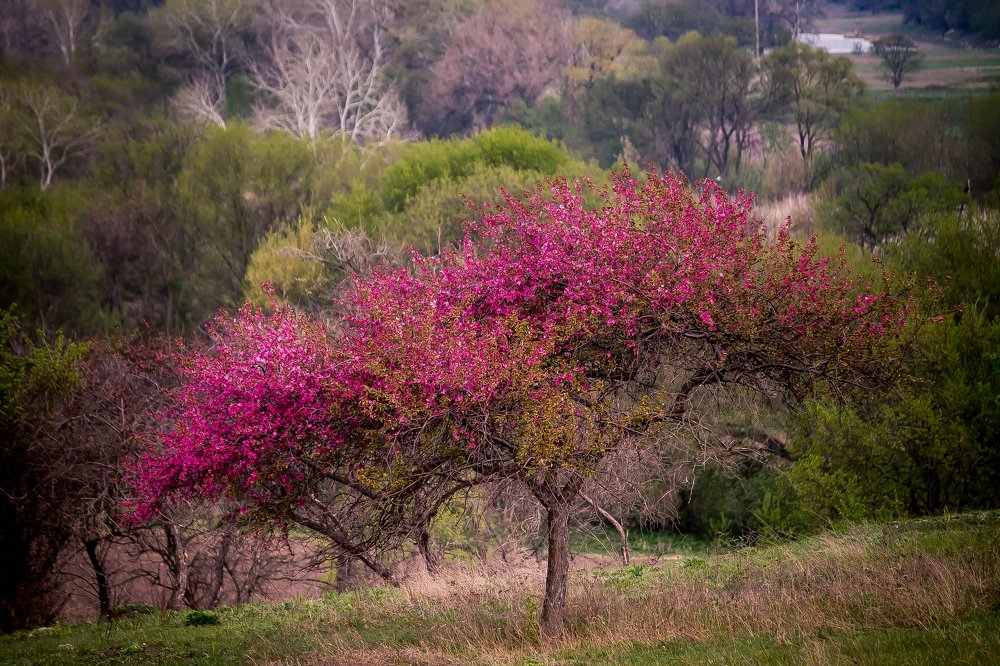 Photograph by Анна Вязникова